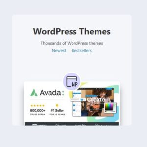 WordPress Themes